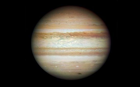 49ʿʷ¼20241